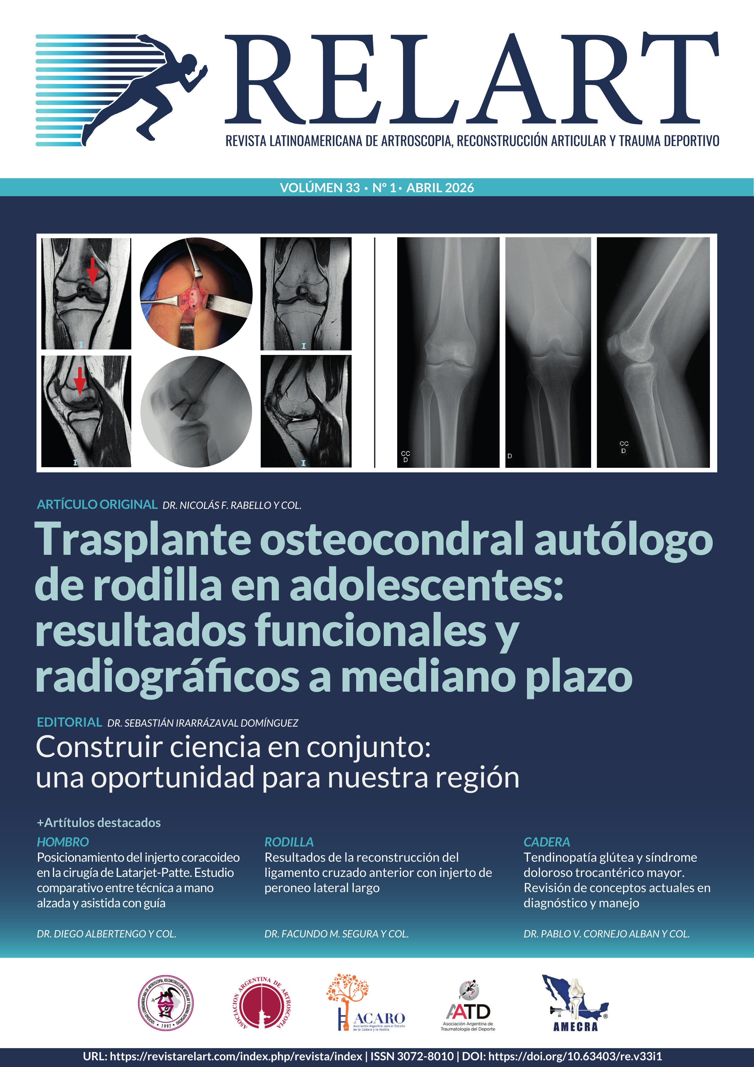 					Ver Vol. 33 Núm. 1 (2026): RELART
				